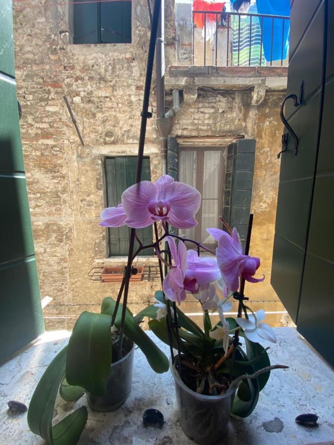 شقة Emma'S House البندقية المظهر الخارجي الصورة